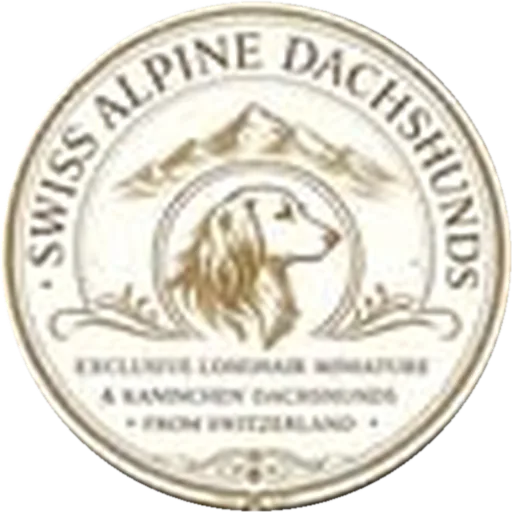 Swiss Alpine Dachshunds